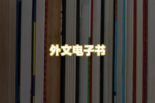 外文电子书